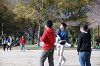 hana31 (311)_thumb.png